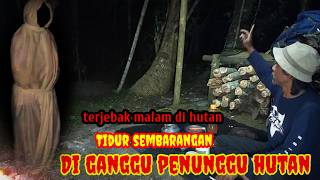 HORROR‼️Trapped at night on the way sleeping carelessly disturbed by forest creatures.