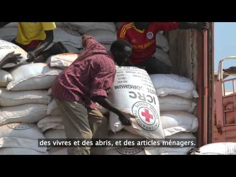 Soudan du Sud : des centaines de milliers de personnes en détresse - Soudan du Sud : des centaines de milliers de personnes en détresse