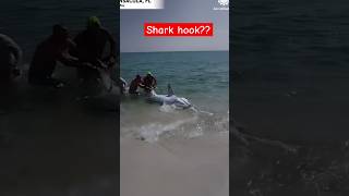Celebrity Florida Couple Helps Shark Back into Ocean | AccuWeather#shark #beach #viral #surprise #explore Wealth