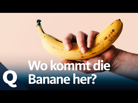 Video: Bananen: Nutzen Und Schaden