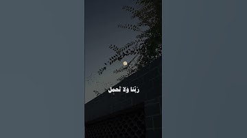 تلاوة خاشعة من سورة البقرة للقارئ علي جابر🤍