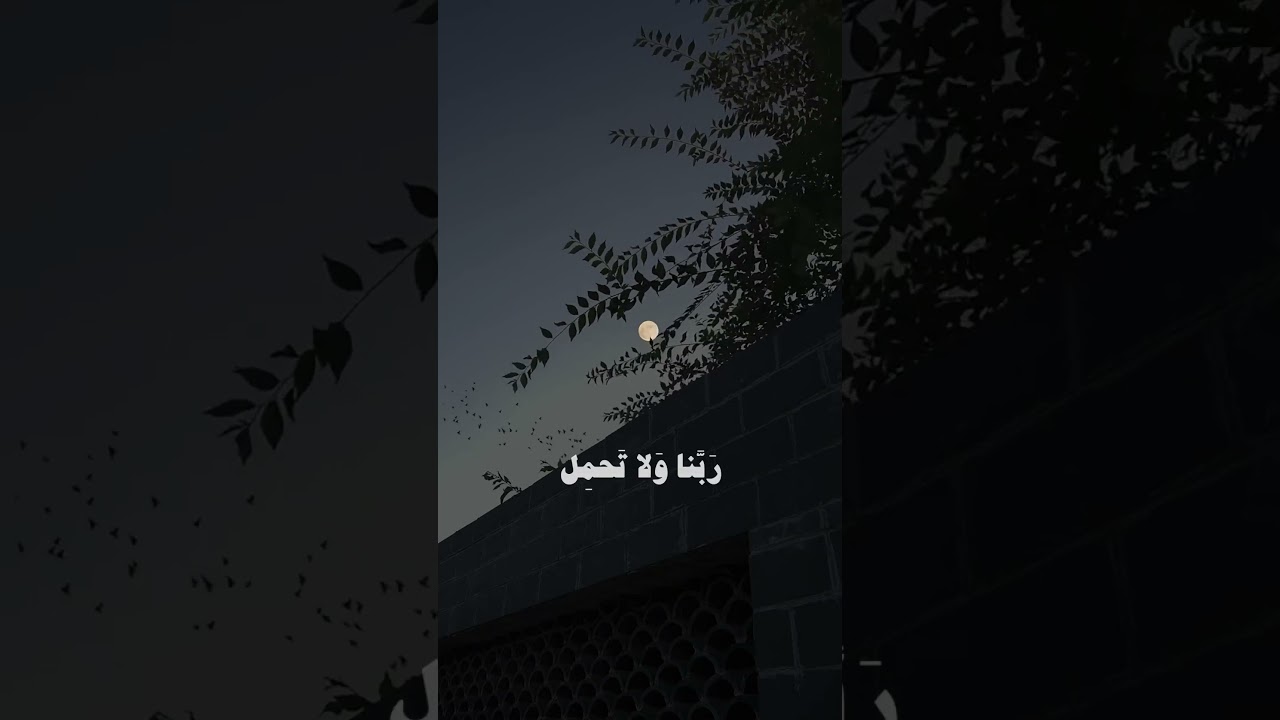 تلاوة خاشعة من سورة البقرة للقارئ علي جابر🤍