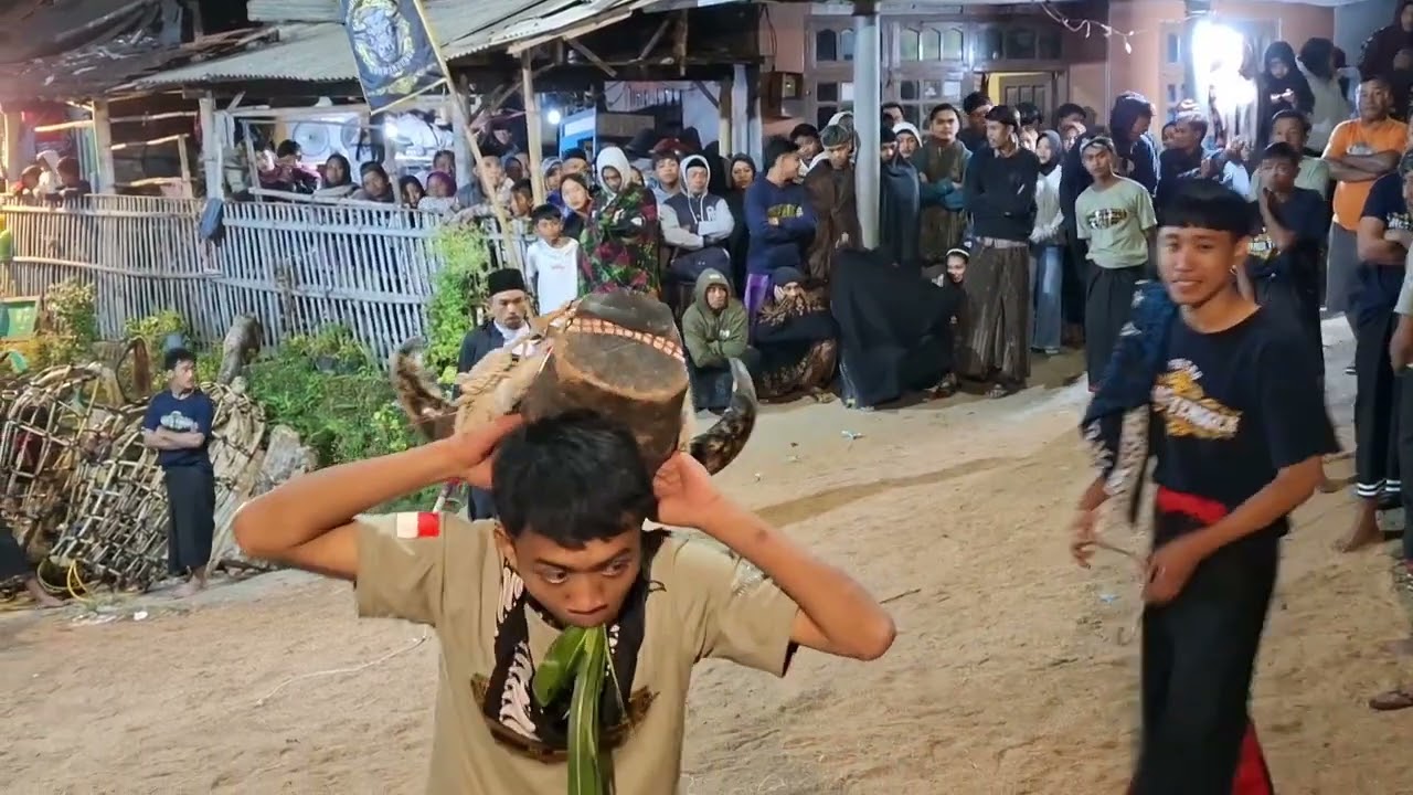 BANTENG PUTRO MAHESO TENGGER MBEROT TAK TERKENDALI LIVE GUBUKLAKAH PONCOKUSUMO