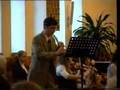 Alessandro Marcello - Concerto for oboe & orchestra