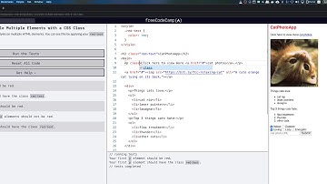 freeCodeCamp: Style Multiple Elements with a CSS Class