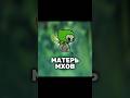 Матерь мхов - Silksong
