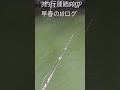 早春に3釣行連続で50UPを仕留めたジャークベイト