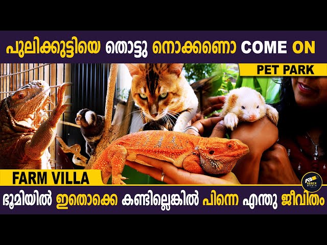 ഇവിടെ വരുന്നവർ ധൈര്യശാലി തന്നെ, ഇതല്ലേ ജീവിതം.കണ്ടു നോക്കു | Farm Villa | Aback Media class=