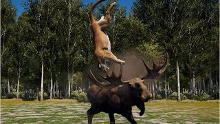 Moose DESTROYED carnivorous - Animation