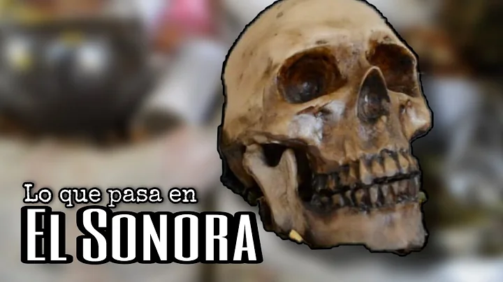 El CULTO, Mitos y realidad  del MERCADO Sonora