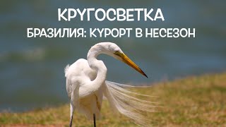 КРУГОСВЕТКА // ДЕНЬ 149 / ДОЖДЛИВЫЙ ВИД ФЛОРИАНОПОЛИСА, БРАЗИЛИЯ