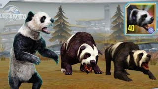 NEW AILURARCTOS UNLOCKED X3 MAX LEVEL 40 PVP BATTLES!!! Jurassic World The Game