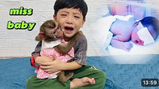 Diana Monkey Is Eager To Meet Baby And Mother At The Hospital.