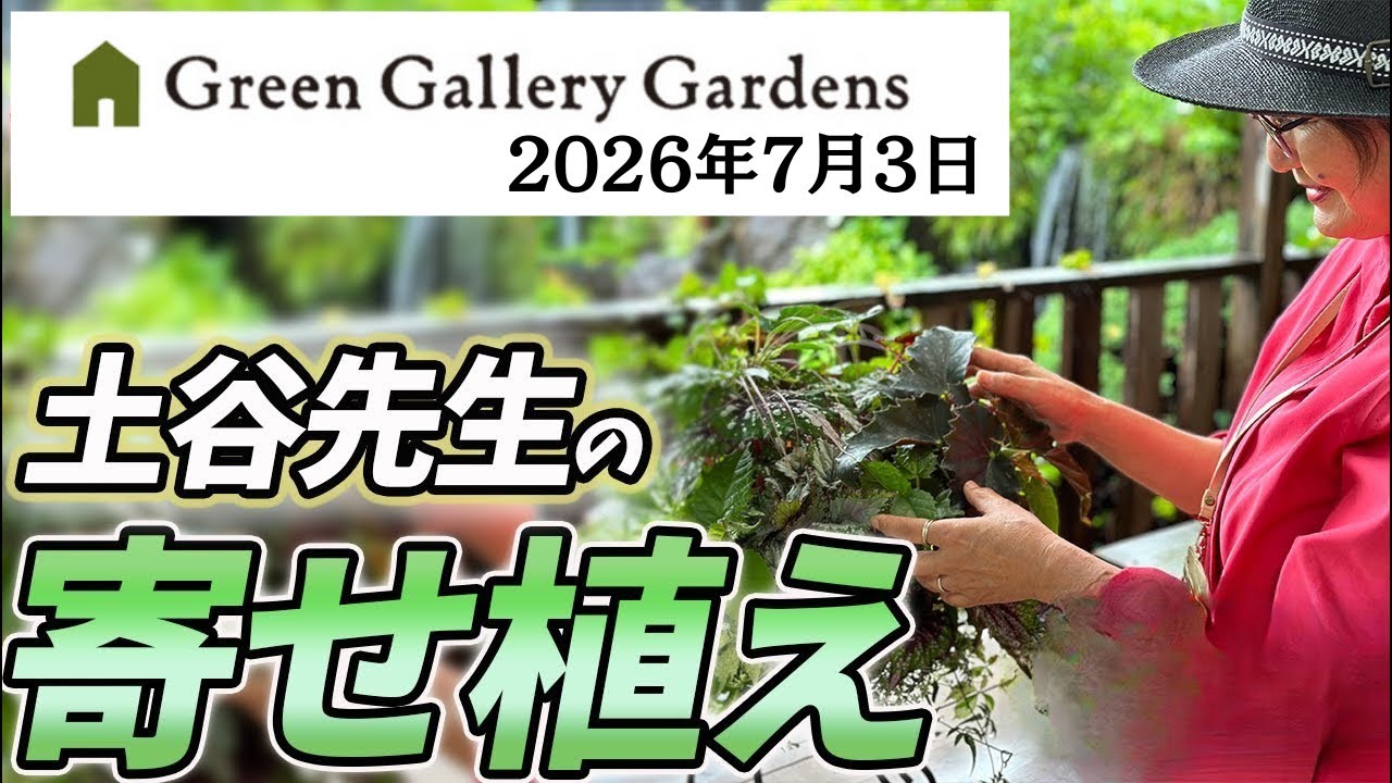 LIVE》July 3, 2026: Introducing Masumi Tsuchiya's Container