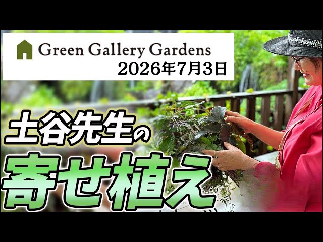LIVE》July 3, 2026: Introducing Masumi Tsuchiya's Container