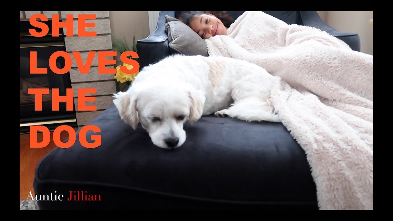 SHE LOVES THE DOG YouTube