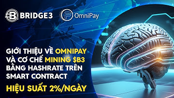 BRIDGE3: TẦM NHÌN ĐỘT PHÁ - CHUYỂN HÓA LƯU LƯỢNG THÀNH QUYỀN LỰC WEB3! 🔥🚀 | Bridge3 OmniPay $B3