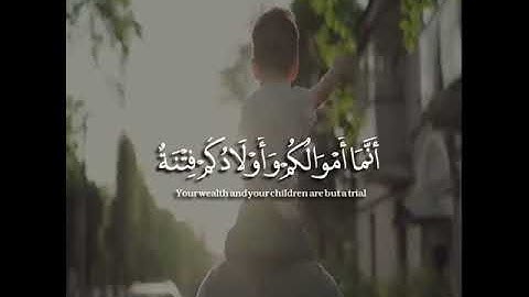 أرح سمعك    القارئ طارق محمد  حالات واتس اب