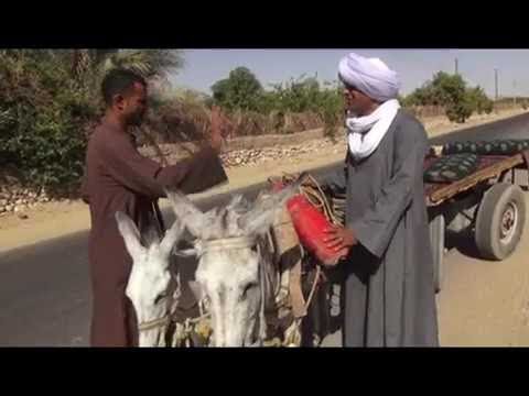 نكت صعايدة 2017 جامدة جدا و جديدة اجمل نكت من الصعيدة 