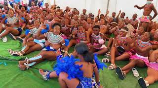 Impi iyeza ft Sdushuza&Thulusi(Amatshitshi song)