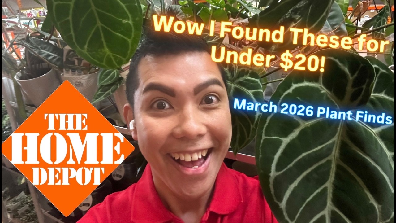 HOME DEPOT PLANT SHOPPING MARCH 2026!  $14 MONSTERA THAI CONSTELLATION & RARE LEAFJOY Anthuriums