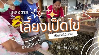 ซื้อเป็ดไข่ ที่นครปฐม