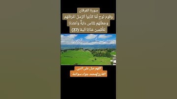 سورة الفرقان - آية37: القارئ/محمد جواد سوالمة