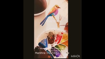 Online Lessons for Fine arts studies.Basics level 1