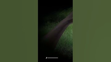 Never go afk in DayZ