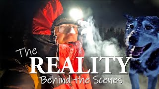 What Really Happens between Dog Sledding Tours | Behind the Scenes of a Husky Kennel