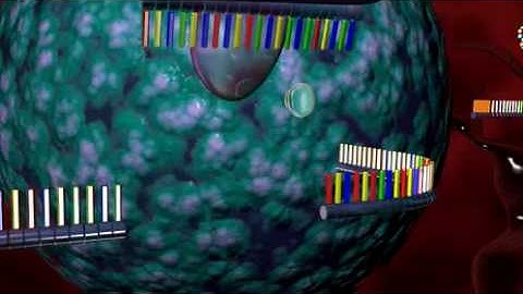 RNA interference animation