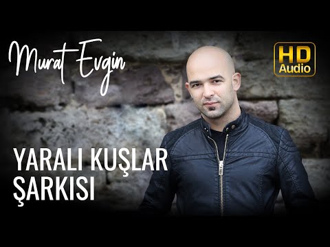 Murat Evgin - Yaralı Kuşlar Şarkısı