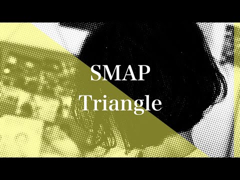 SMAP - Triangle【弾き語り】