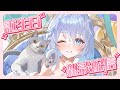 🎉誕生日カウントダウン雑談配信🎉