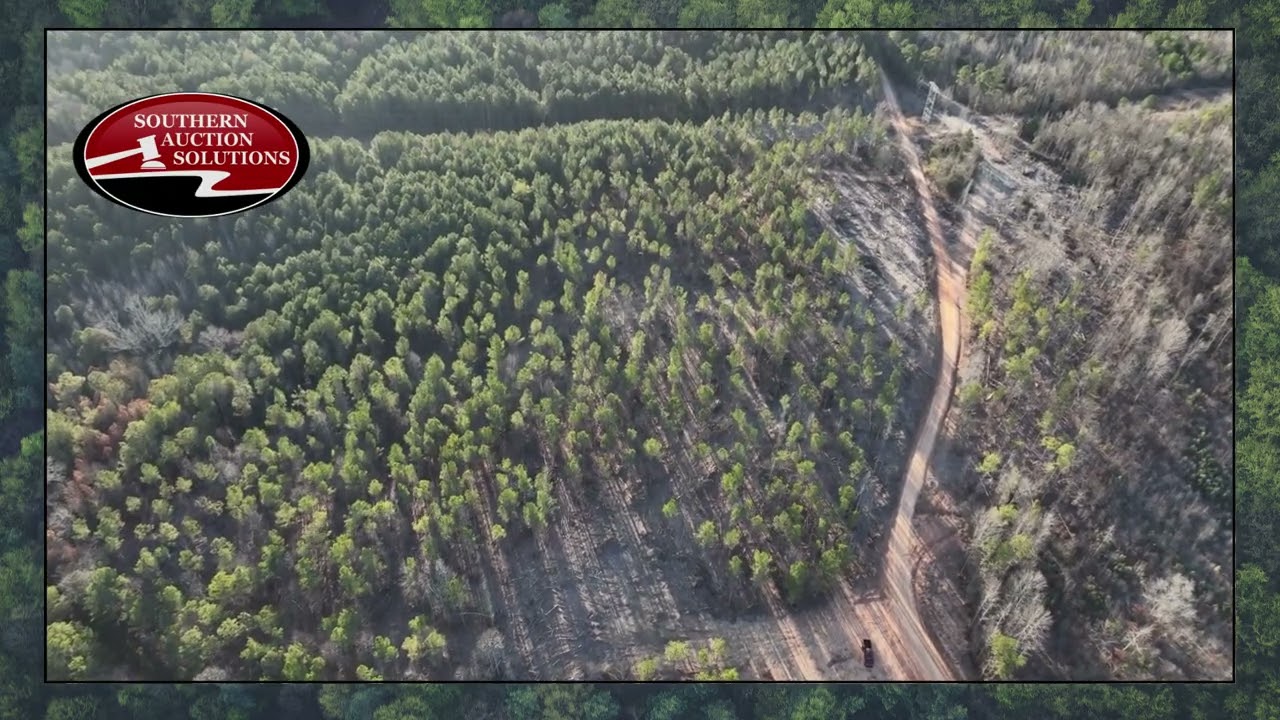 AUCTION 19 ACRES+  Unrestricted Land  5 Tracts or Whole  Randolph County AL