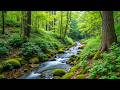 Music Therapy for the Nervous System 🌿 Relaxing Music for Anxiety Relief &amp; Stop Overthinking