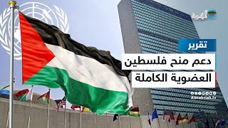 تحدت الفيتو الأمريكي..الأمم المتحدة تدعم منح فلسطين العضوية الكاملة