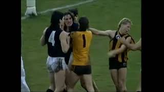 AFL Fight/Melee SOS/Stephen Silvagni VS Ray Jencke Football Fight (PART 1)