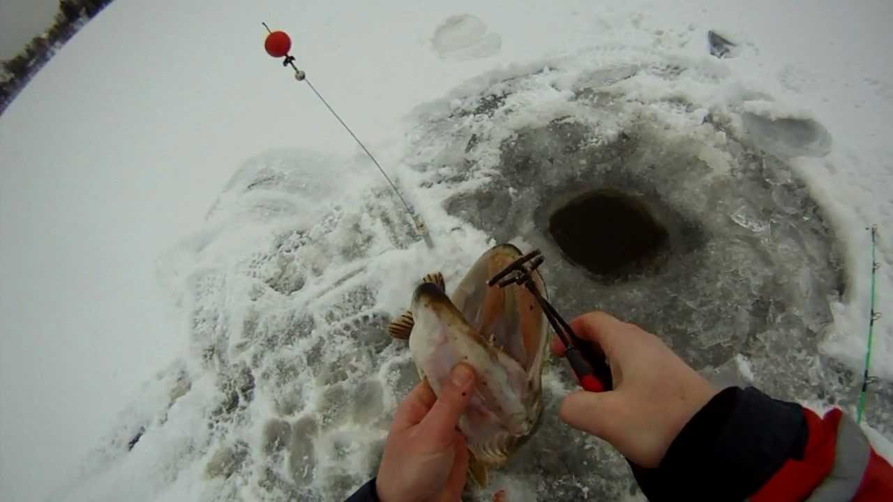 Lékhorgászat #lékhorgászat 