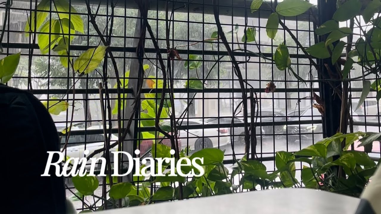 Rain Diaries | Relaxing Rain & Train Sounds