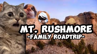 Cat Memes Family Roadtrip Compilation Ep.10 Extra Scenes