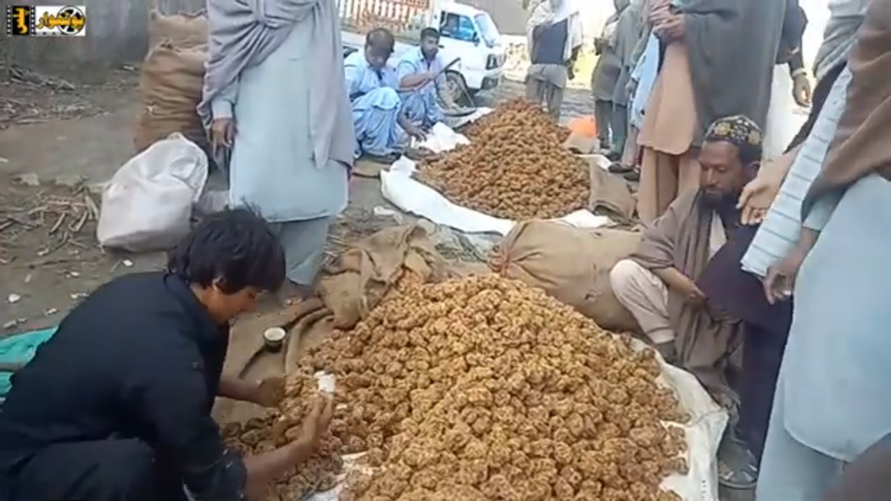 Village Life in Pakistan | Khaber Pakhtoonkhwa Swabi Tordher 2019