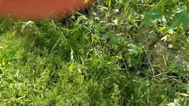 Train derailment in Albers Illinois 9/19/2022