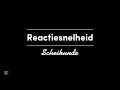 Reactiesnelheid | Scheikunde