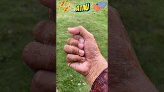 Ikan lele atau kelomang