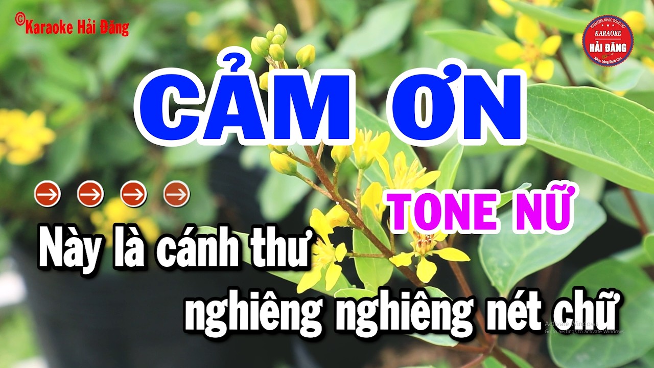 Karaoke Cảm Ơn - Tone Nữ Beat Hay Nhạc Sống | Hải Đăng