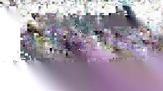 Checks for Understanding Tools for Virtual Environments 1