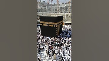 beautiful Islamic status #سورة_الإخلاص #ikhlas #madina #makkah #love #quran #tilwatquran