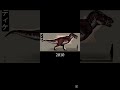 yıllara göre Tyrannosaurus rex #paleontology #paleontoloji #tyrannosaurus #tyrannosaurusrex #dinazor