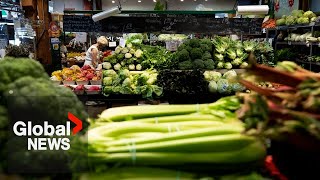 Food prices set to rise another 5-7% in 2023 after record inflation year: report